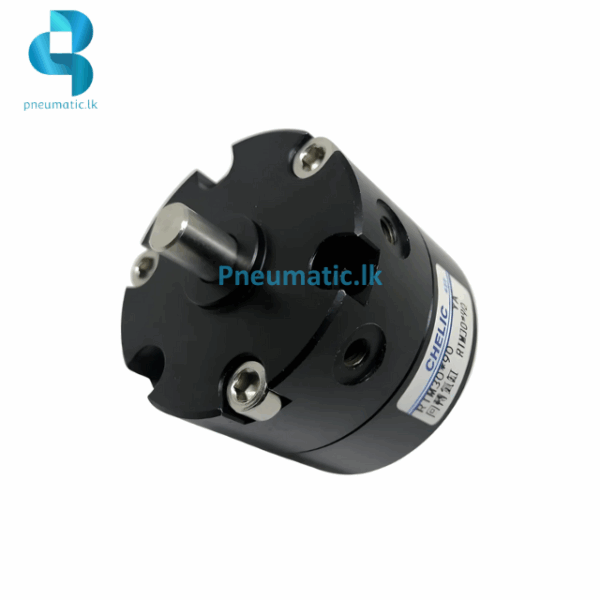 CHELIC Model | RTM30 Series | Vane Type Rotary Actuator