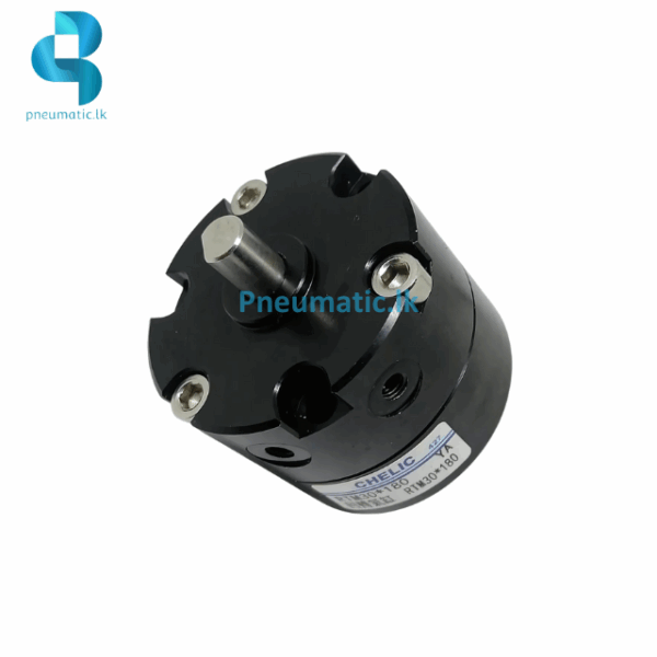 CHELIC Model | RTM30 Series | Vane Type Rotary Actuator - Image 2