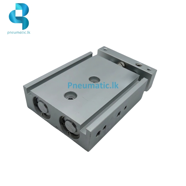 TR16-10S | Twin Rod Air Cylinder - Available from Reputed Brands - Image 3
