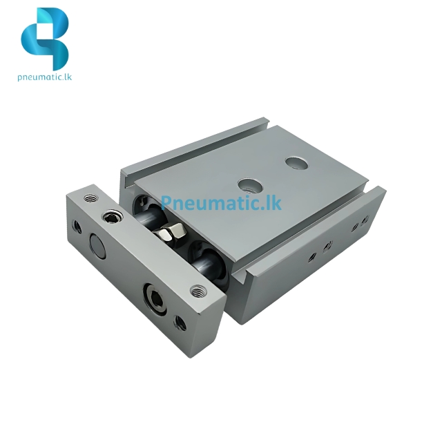 TR16-10S | Twin Rod Air Cylinder - Available from Reputed Brands - Image 2