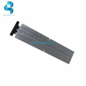 SNS Model TN20-200S Dual Rod Air Cylinder Pneumatic.lk