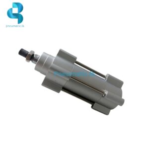 DSBG-40-25-PPVA-N3 Double Acting Air Cylinder - Available from Reputed Brands Pneumatic.lk