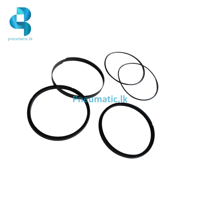 DSBG-160-PPVA-N3 | Cylinder Repair Kit - Available from Reputed Brands - Image 2