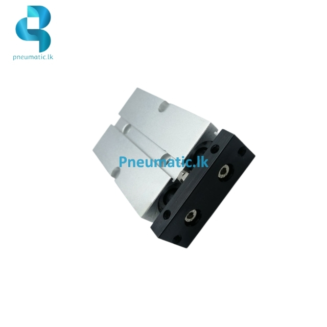 TN16-25-S | Twin Rod Air Cylinder - Available from Reputed Brands - Image 2