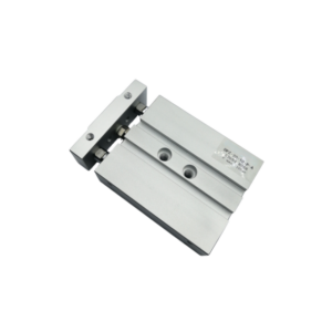 DPZ-20-10-P-A Twin Rod Air Cylinder - Available from Reputed Brands Pneumatic.lk