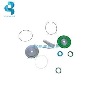 DSBC-G-100 Compatible Cylinder Repair Kit Pneumatic.lk