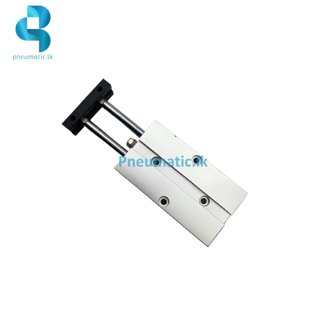PNEU TD10-30 | Dual Rod Air Cylinder - Available from Reputed Brands - Image 2